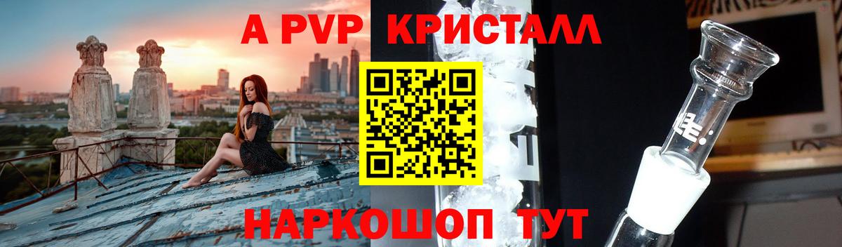 Альфа ПВП СК КРИС Донецк