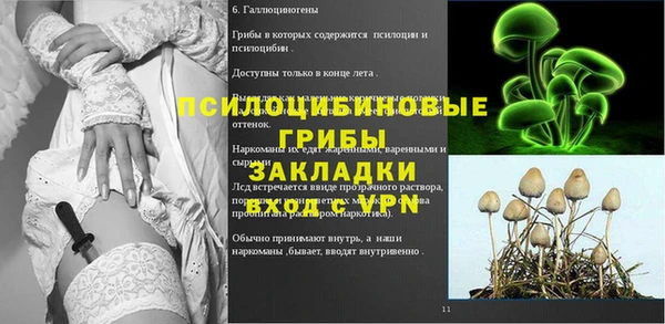 ECSTASY Дмитровск