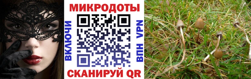 Псилоцибиновые грибы мицелий  Донецк 