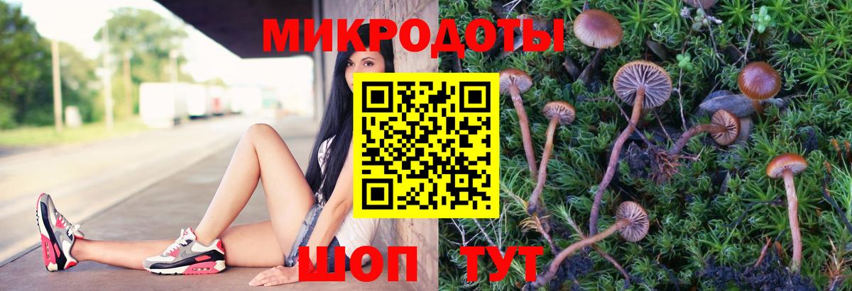 Донецк  Галлюциногенные грибы Cubensis  дарнет шоп  Вход с VPN 