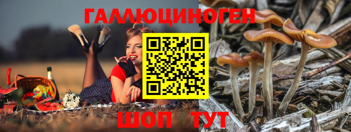 Псилоцибиновые грибы Magic Shrooms Донецк